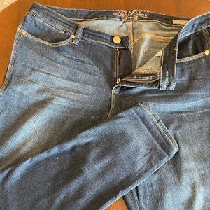 Seven7 Melissa McCarthy Plus Size Jeggings (18)